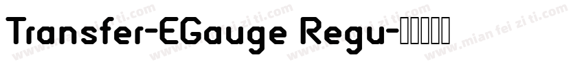 Transfer-EGauge Regu字体转换